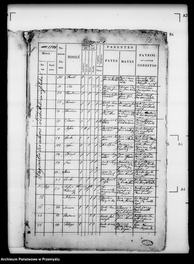 Obraz 6 z jednostki "[Kopie ksiąg metrykalnych parafii Trzcianiec (dekanat Bircza)]"