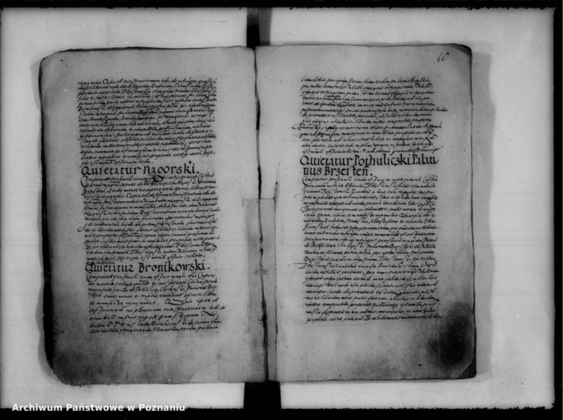 Obraz 13 z jednostki "Inscriptiones, relationes [inducta]"