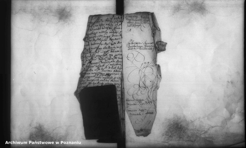 Obraz 3 z jednostki "Inscriptiones, resignationes [protocollon]"