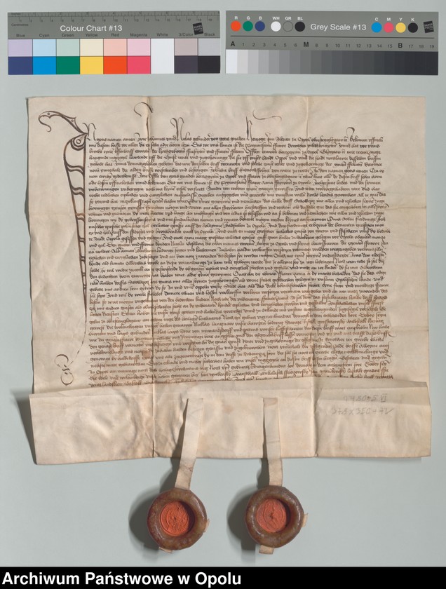 Obraz 2 z jednostki "Jan i Mikołaj, książęta śląscy, na Opolu, Głogówku etc. poświadczają, że stawiła się przed nimi Dorota Pillchwiczynn. Potwierdzają oni jej"