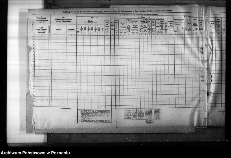 Obraz 8 z jednostki "Korespondencja, formularze i zestawienia wyników w zwiazku ze spisem bydła"