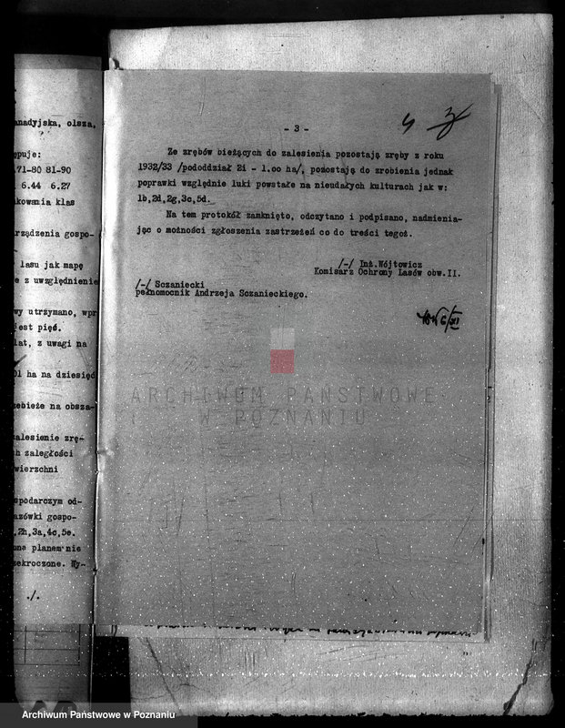 Obraz 8 z jednostki "Majętność leśna Srocko-Wielkie powiat kościański"