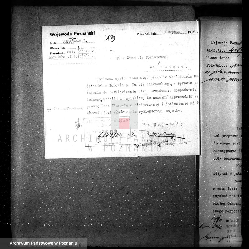 Obraz 18 z jednostki "Nadzór nad gospodarką w lasach majętności Borowo powiat średzki"