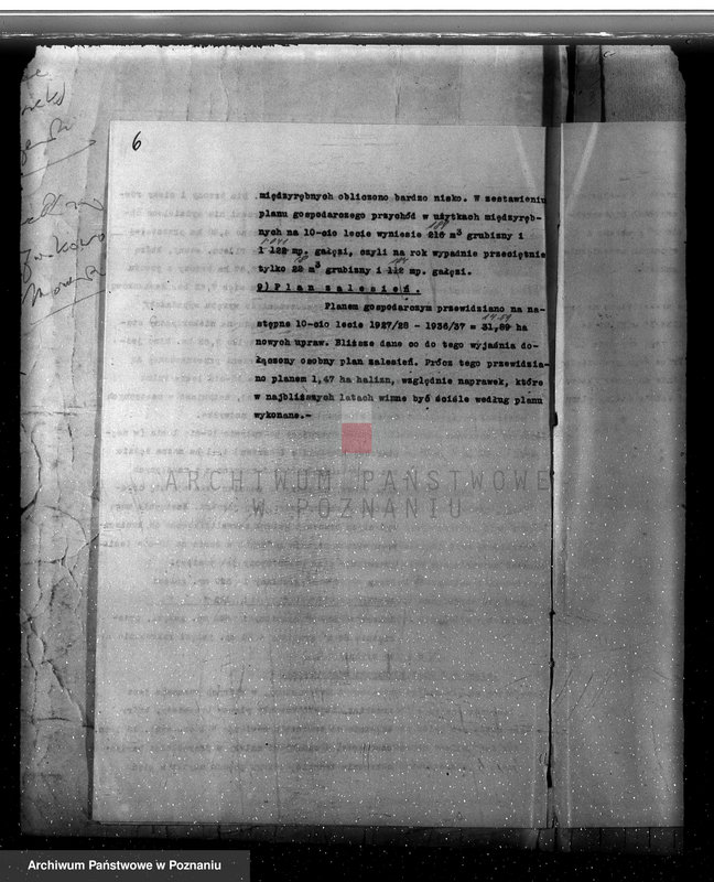 Obraz 10 z jednostki "Plan urządzania gospodarstwa leśnego dla lasu majętności Jezierzyce powiat kościański 1927-1938"
