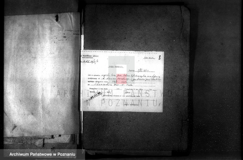 Obraz 12 z jednostki "Gmina Niewiesz powiat turecki /nadzór nad gospodarką leśną/"