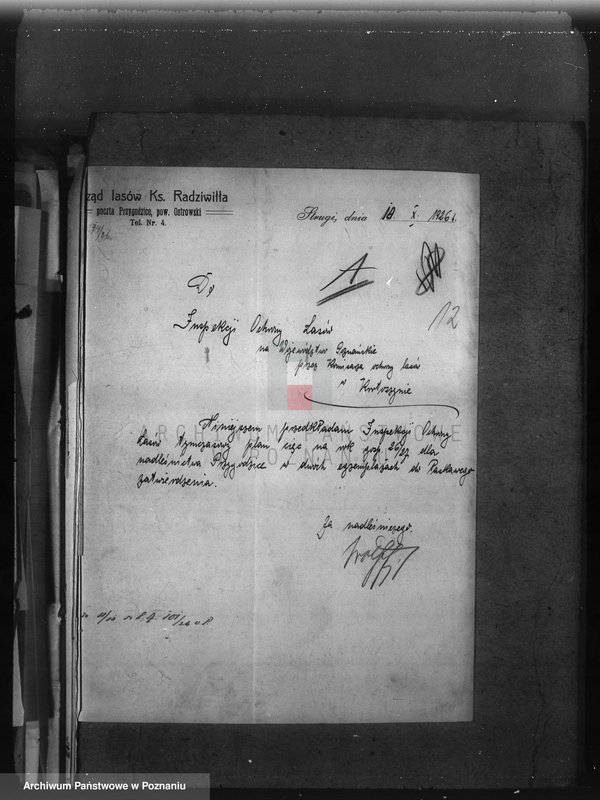 image.from.unit.number "Majętność Przygodzice powiat ostrowski /nadzór nad gospodarką leśną/"