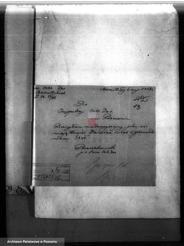 Obraz 17 z jednostki "Majętność leśna Ławica w powiecie międzychodzkim /nadzór nad gospodarką leśną/"