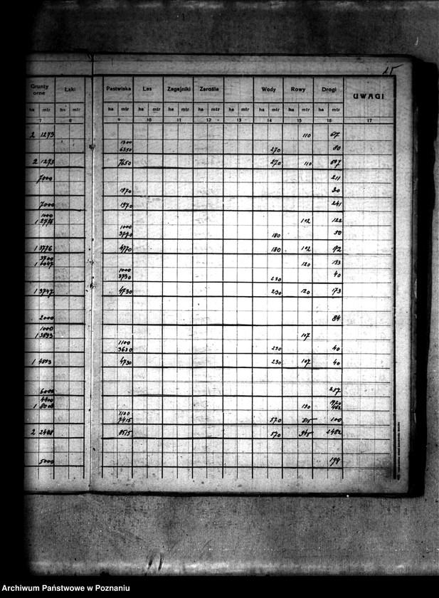 Obraz 19 z jednostki "Rejestr pomiarowy gruntów przymusowej parcelacji majątku Ląd powiatu konińskiego"