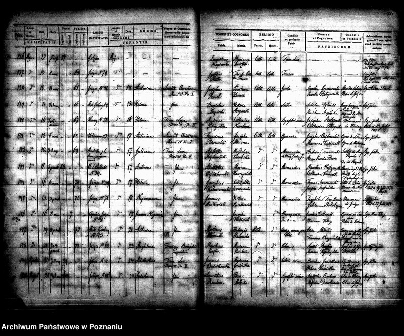 Obraz 16 z jednostki "Księga urodzin"