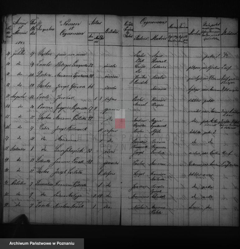 image.from.unit.number "Duplikatus baptisatorum, copulatorum, mortuorum"