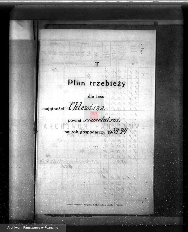 Obraz 12 z jednostki "Plan urządzenia gospodarstwa leśnego majątku Chlewiska w powiecie szamotulskim"