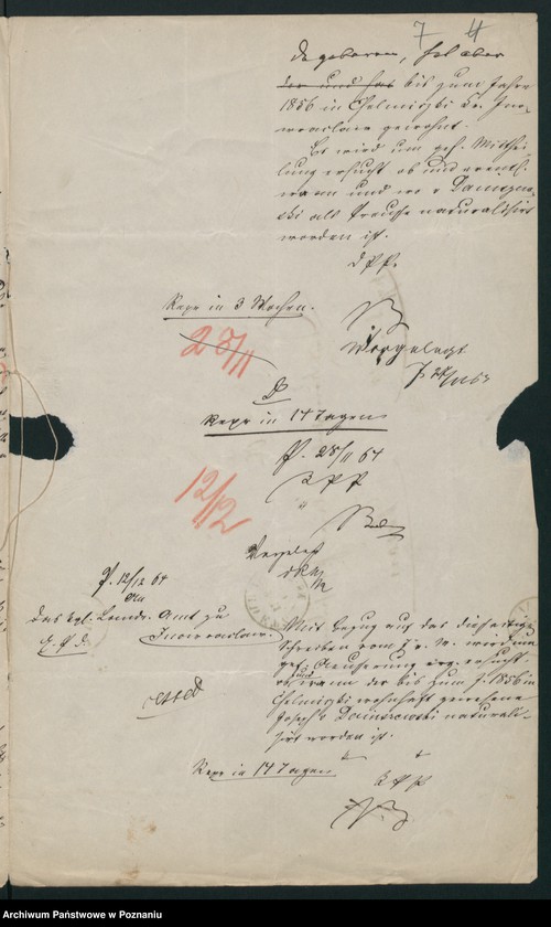 Obraz 10 z jednostki "A. betr. Josef von Daniszewski, Gutsbesitzer"