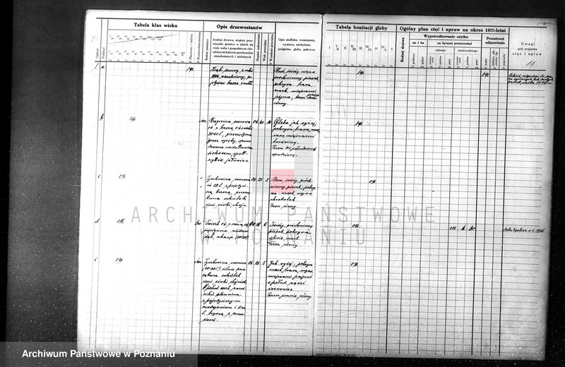 Obraz 14 z jednostki "majętności Sławno czarnkowskim"