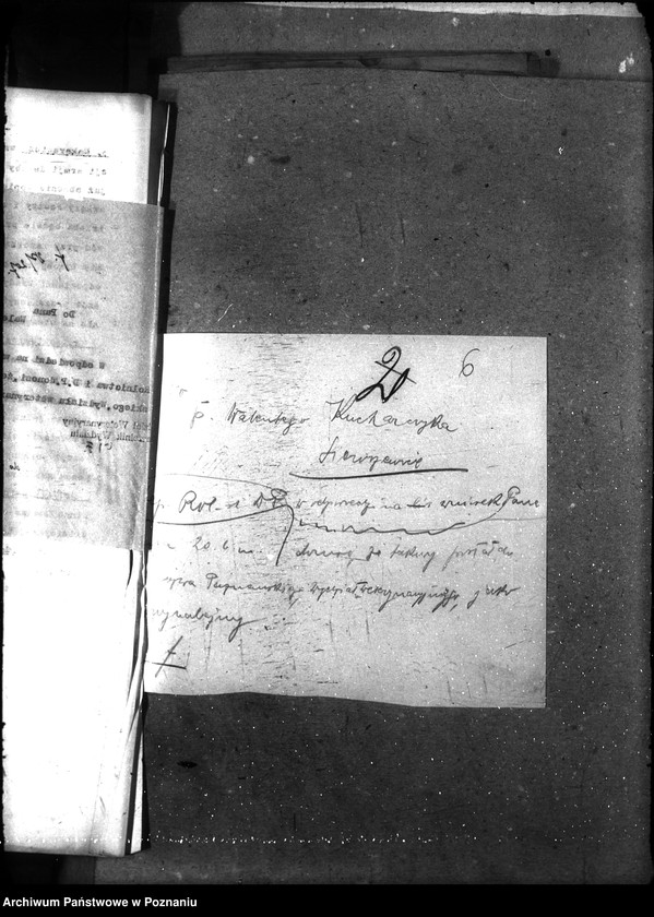 Obraz 10 z jednostki "Powiatowi lekarze weterynaryjni"