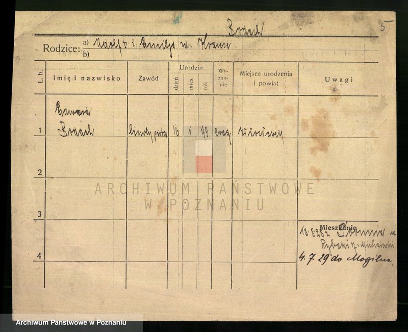 Obraz 7 z jednostki "Bodach - Bogdziewicz"