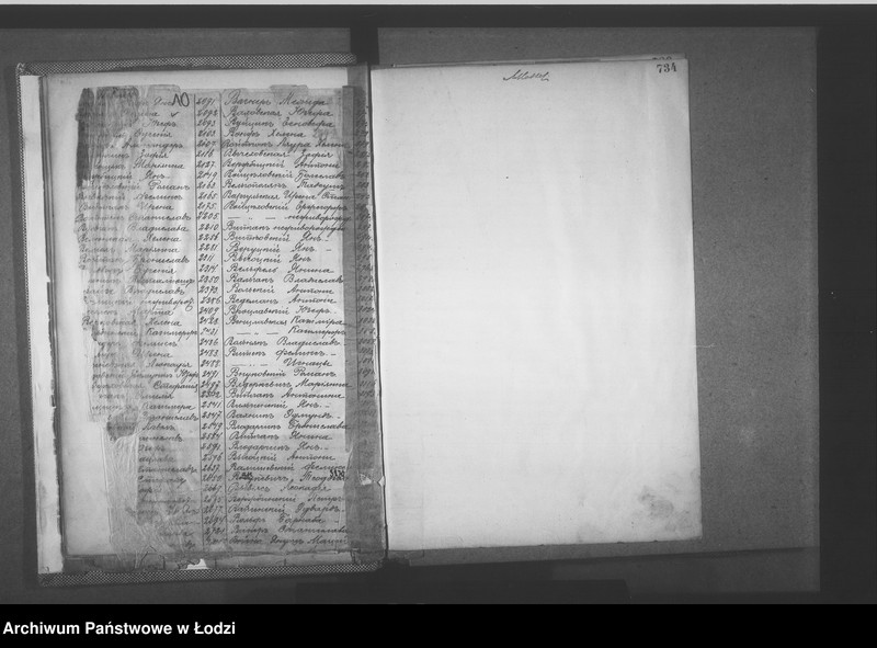 Obraz 13 z jednostki "Skorowidz do akt urodzeń"