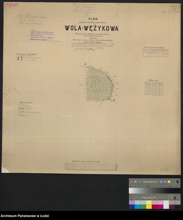 Obraz 1 z jednostki "Plan podziału wspólnego pastwiska wsi Wola Wężykowa w gminie Wola Wężykowa powiecie łaskim ... położonej, dokonanej na mocy uchwały zebrania gromadzkiego z dnia 10 lipca 1924 roku i orzeczenia Okręgowej Komisji Ziemskiej w Piotrkowie"