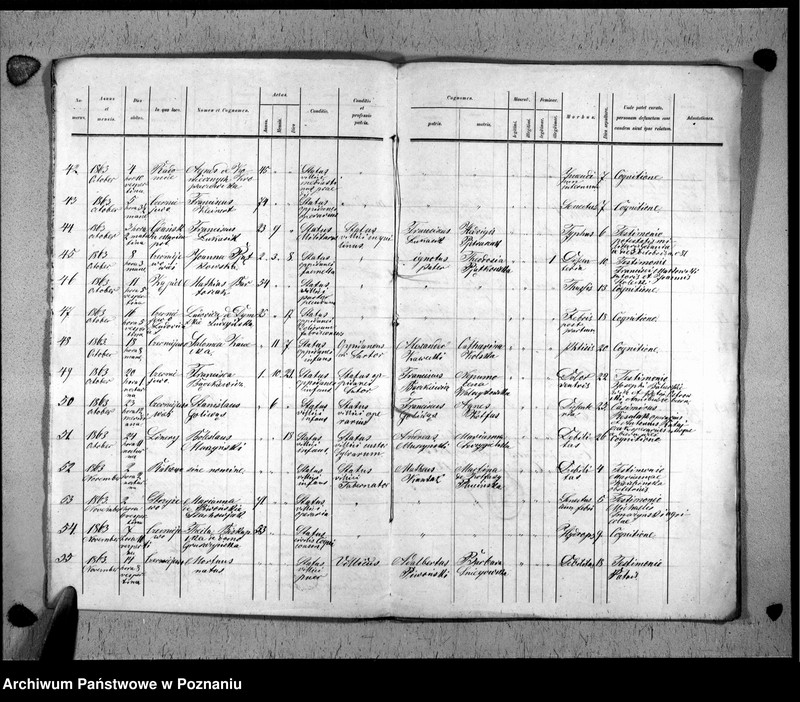 Obraz 7 z jednostki "Liber mortuorum"