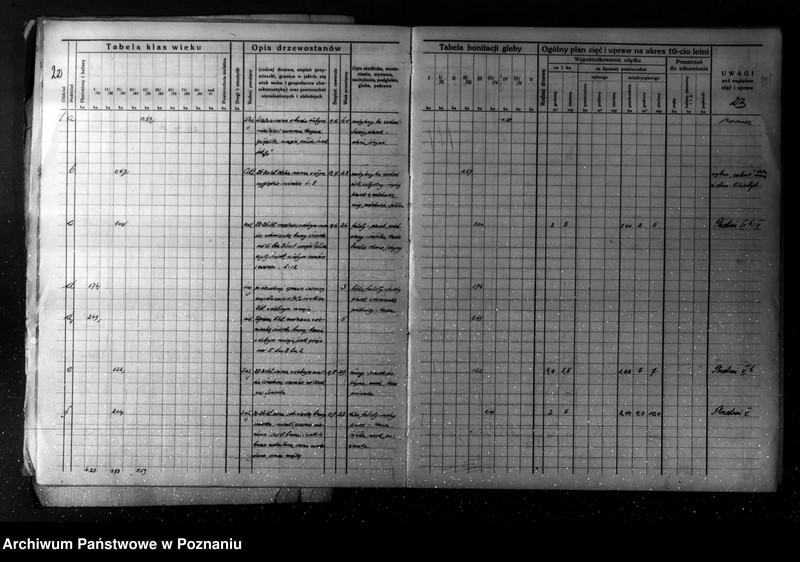 Obraz 16 z jednostki "/Plan urządzania gospodarstwa leśnego dla lasu majątku Turew powiatu kościańskiego 1933-1943/"