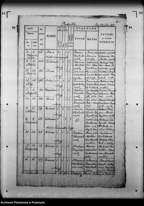 Obraz 17 z jednostki "[Kopie ksiąg metrykalnych parafii Radenice z filiami Czyżowice, Podliski, Wiszenka (dekanat Mościska)]"