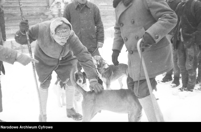 image.from.unit.number "Polowanie na niedźwiedzie w nadleśnictwie Sołotwina, w lasach należących do hrabiego Adama Zdzisława Zamoyskiego"