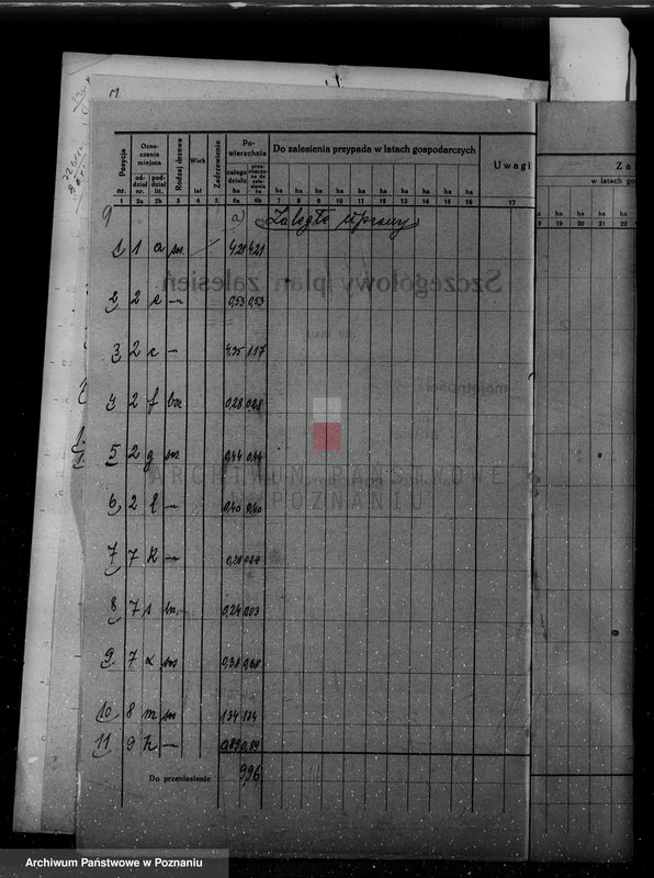 Obraz 13 z jednostki "/Nadzór nad gospodarką leśną w majętności Hutka w powiecie czarnkowskim"