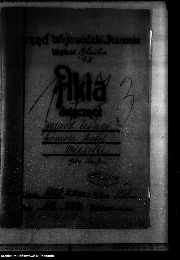 Obraz 4 z jednostki "Gospodarka leśna kościoła katolickiego Wieszki powiat szubiński"