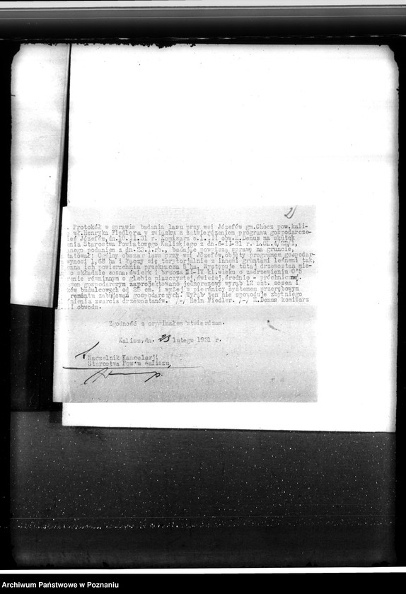 Obraz 6 z jednostki "Gmina Chocz w powiecie kaliskim /nadzór nad gospodarką leśną/"