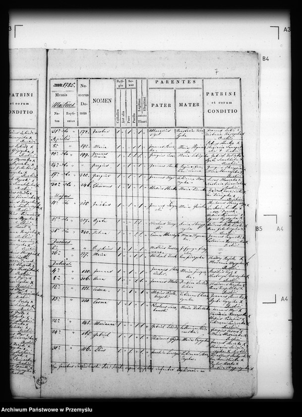 image.from.unit.number "[Kopie ksiąg metrykalnych parafii Dzików Stary (dekanat Cieszanów)]"