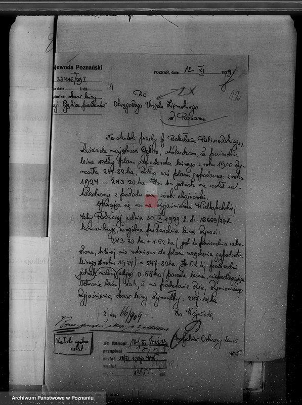 Obraz 16 z jednostki "/Nadzór nad lasami/ majętności Gębice powiatu czarnkowskiego"