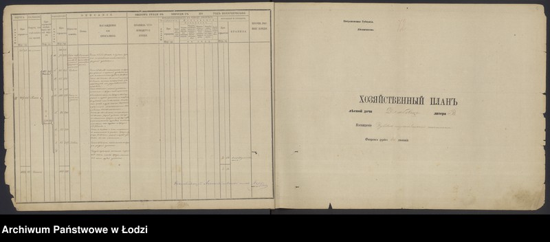 Obraz 4 z jednostki "Plany wsi Kruszyna i Dębowiec, pow. Radomsko"