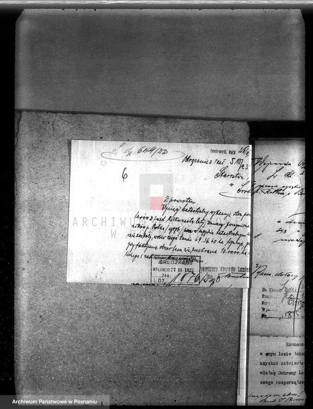 Obraz 10 z jednostki "Nadzór nad gospodarką w lasach majętności Borowo powiat średzki"