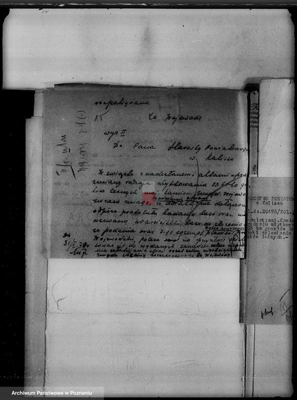 Obraz 19 z jednostki "Majątek Kamień powiat kaliski /sprawy leśne/"