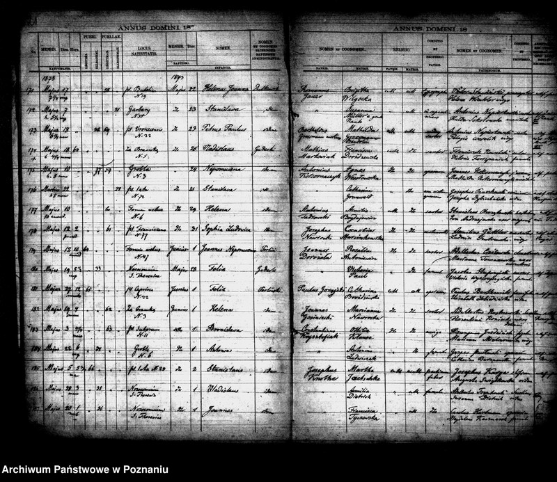 Obraz 12 z jednostki "Księga urodzin"