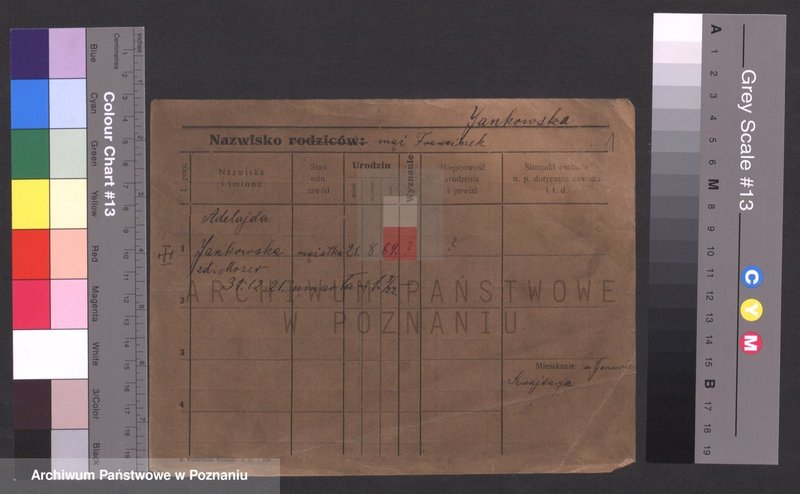 Obraz 1 z jednostki "Jankowski (wdowy i samotni mężczyźni)"