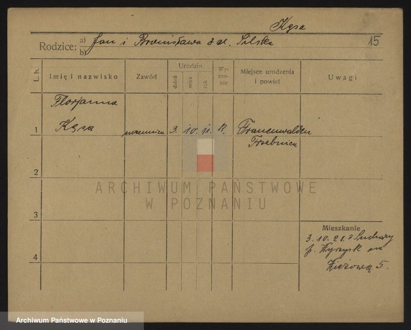 Obraz 15 z jednostki "Kępski - Kielasiński (Kü)"