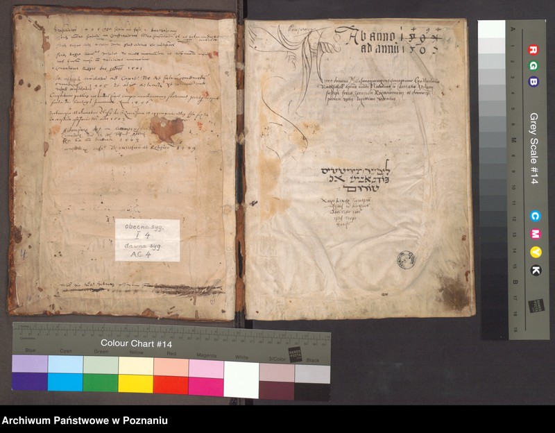 Obraz 4 z jednostki "Acta consularia civitatis Posnaniensis"