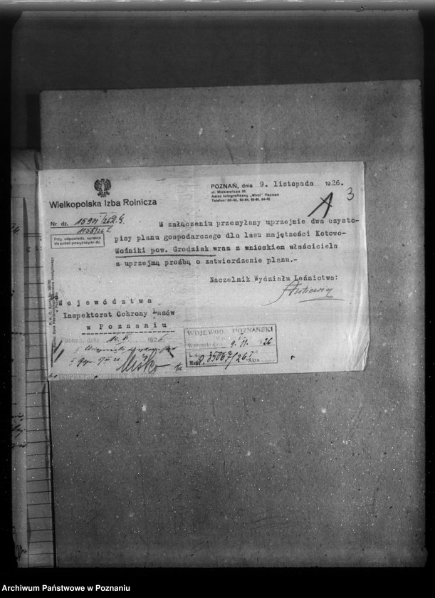 Obraz 7 z jednostki "Majętność leśna Kotowo-Wożniki powiat nowotomyski"