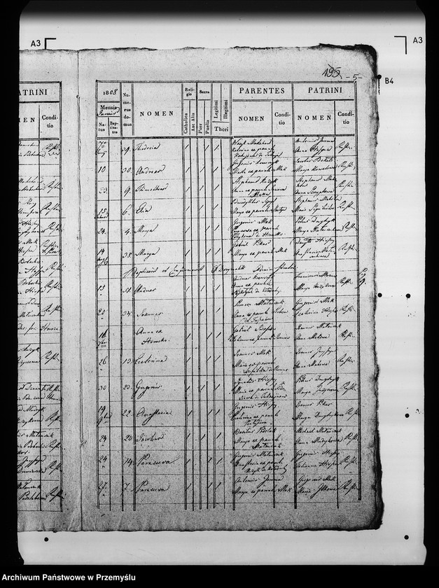 Obraz 9 z jednostki "[Kopie ksiąg metrykalnych parafii Kołodruby z filiami Lipice, Powerchów (dekanat Komarno)]"