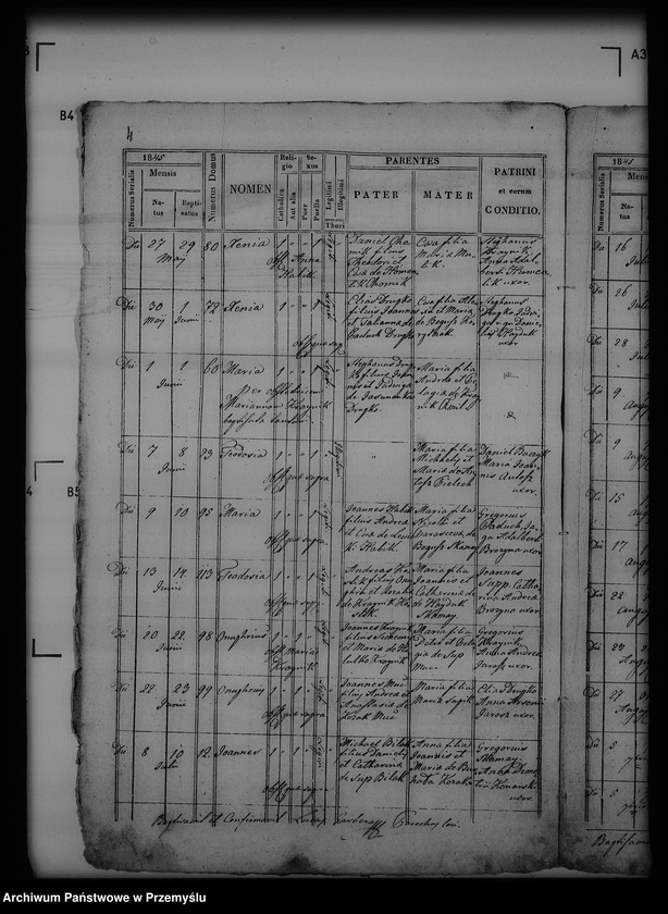 Obraz 8 z jednostki "[Kopie ksiąg metrykalnych parafii Piątkowa Ruska (dekanat Bircza)]"