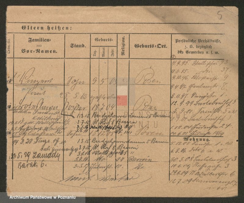 Obraz 5 z jednostki "Murcha - Musiał"