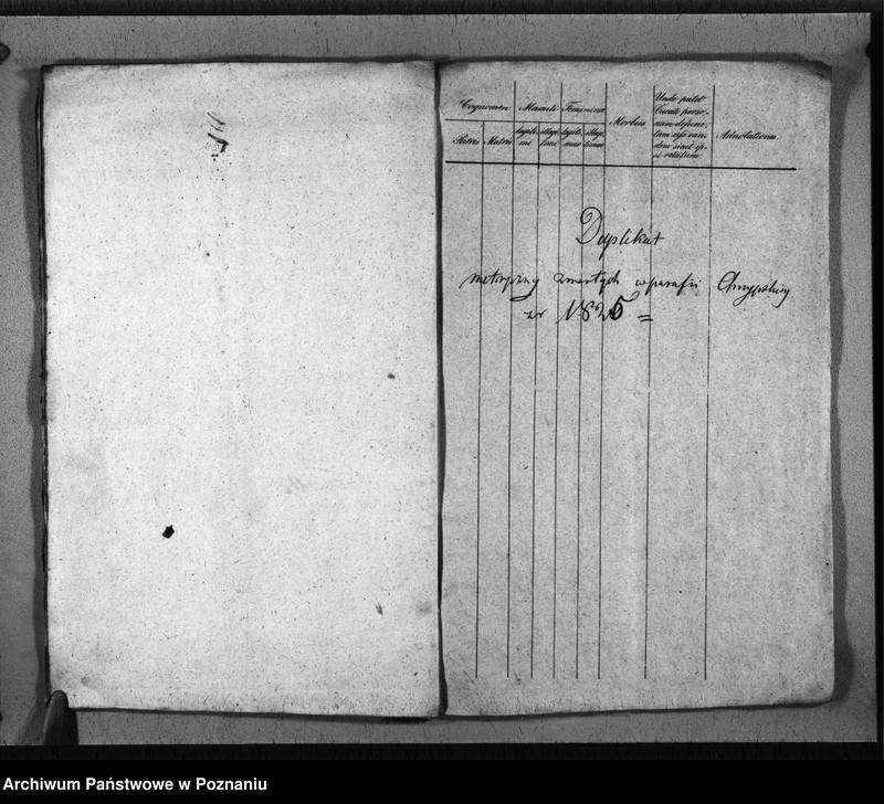 Obraz 12 z jednostki "Duplikat baptisatorum, copulatorum, mortuorum"
