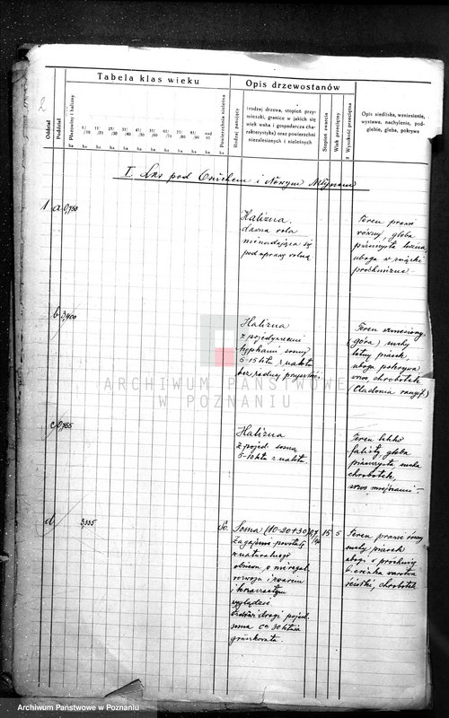 Obraz 6 z jednostki "Plan urządzania gospodarstwa leśnego dla gminy miasta Czarnkowa"