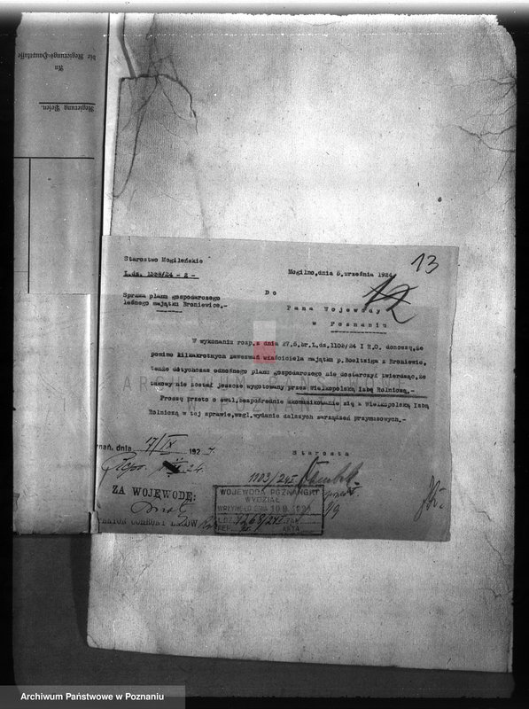 Obraz 17 z jednostki "Majętność leśna /Bronie wiec/ powiat mogileński"