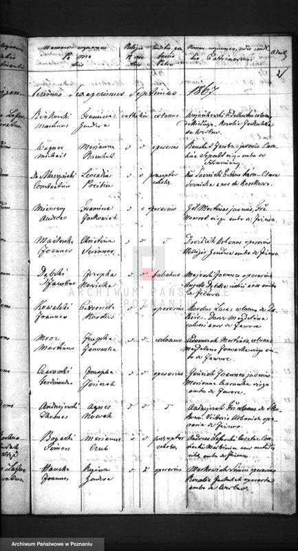 Obraz 5 z jednostki "Duplikat baptisatorum, copulatorum, mortuorum"