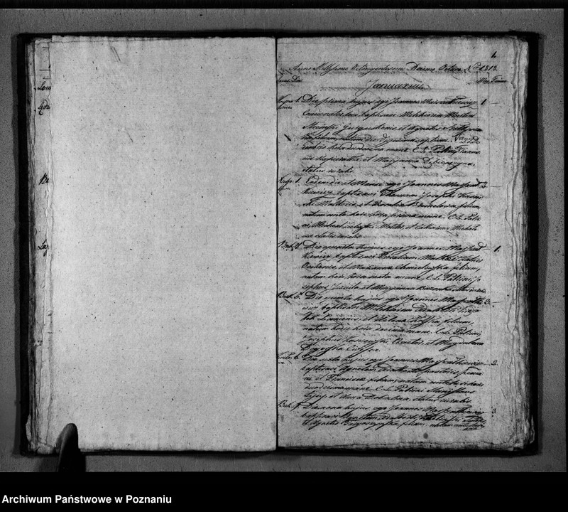 Obraz 12 z jednostki "Duplikat urodzonych, zaślubionych i zmarłych"