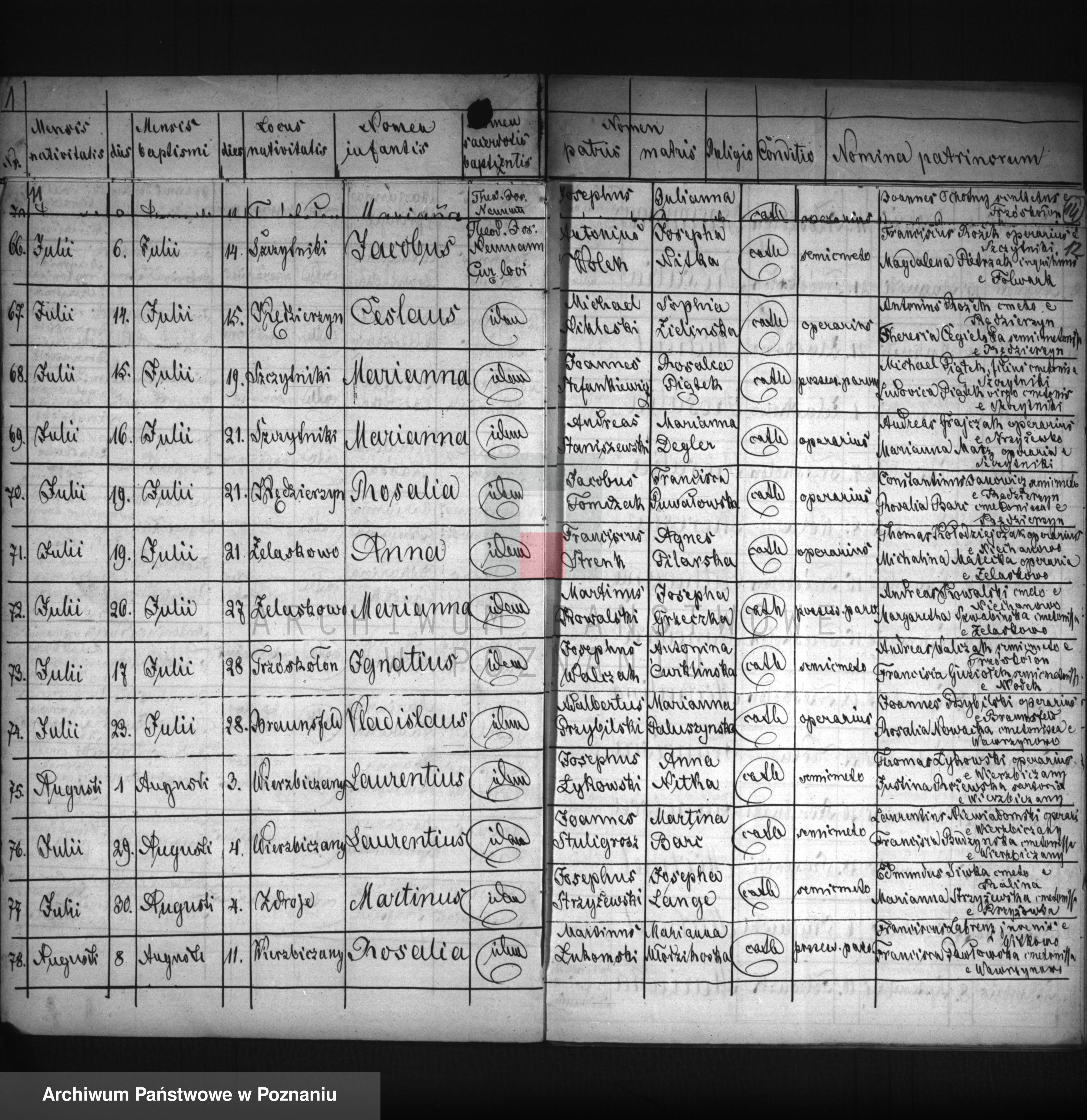 Skan z jednostki: Duplikat urodzonych