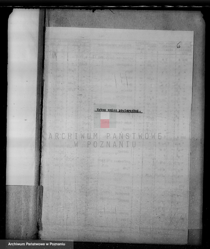 Obraz 10 z jednostki "/Nadzór nad gospodarką w lasach majątku Krucz-Goraj w powiecie czarnkowskim"