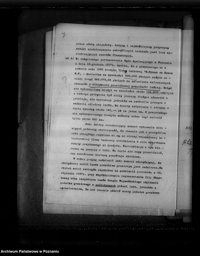 Obraz 13 z jednostki "Sprawa zalesienia majątku Krucz-Goraj"