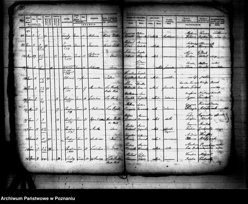 Obraz 17 z jednostki "Księga urodzeń"